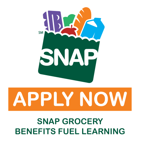 graphic of a bad full of groceries